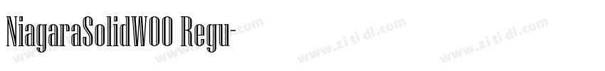 NiagaraSolidW00 Regu字体转换